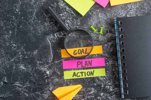 Goal Plan Action